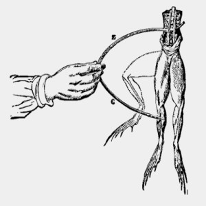 17 - Heretical Science and Dangerous Ideas