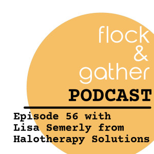 Episode 56 with Lisa Semelry from Halotherapy Solutions