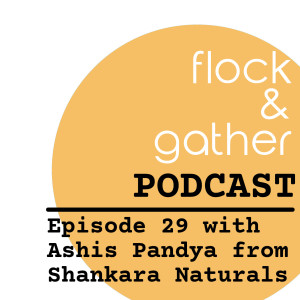Episode 29 with Ashis Pandya from Shankara Naturals