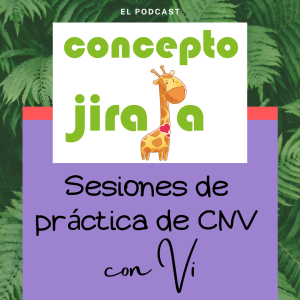 Grupo de práctica CNV Un lenguaje de vida, Capítulo 11: Resolución de conflictos y mediación