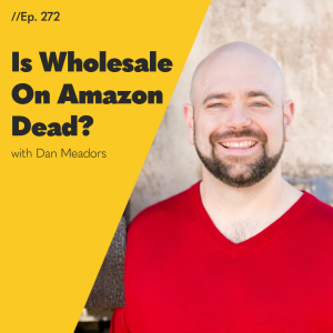 #272 - Is Wholesale On Amazon Dead? The Opinion By Dan Meadors