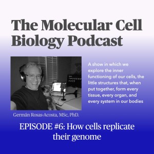 Episode 6: How cells replicate their genome