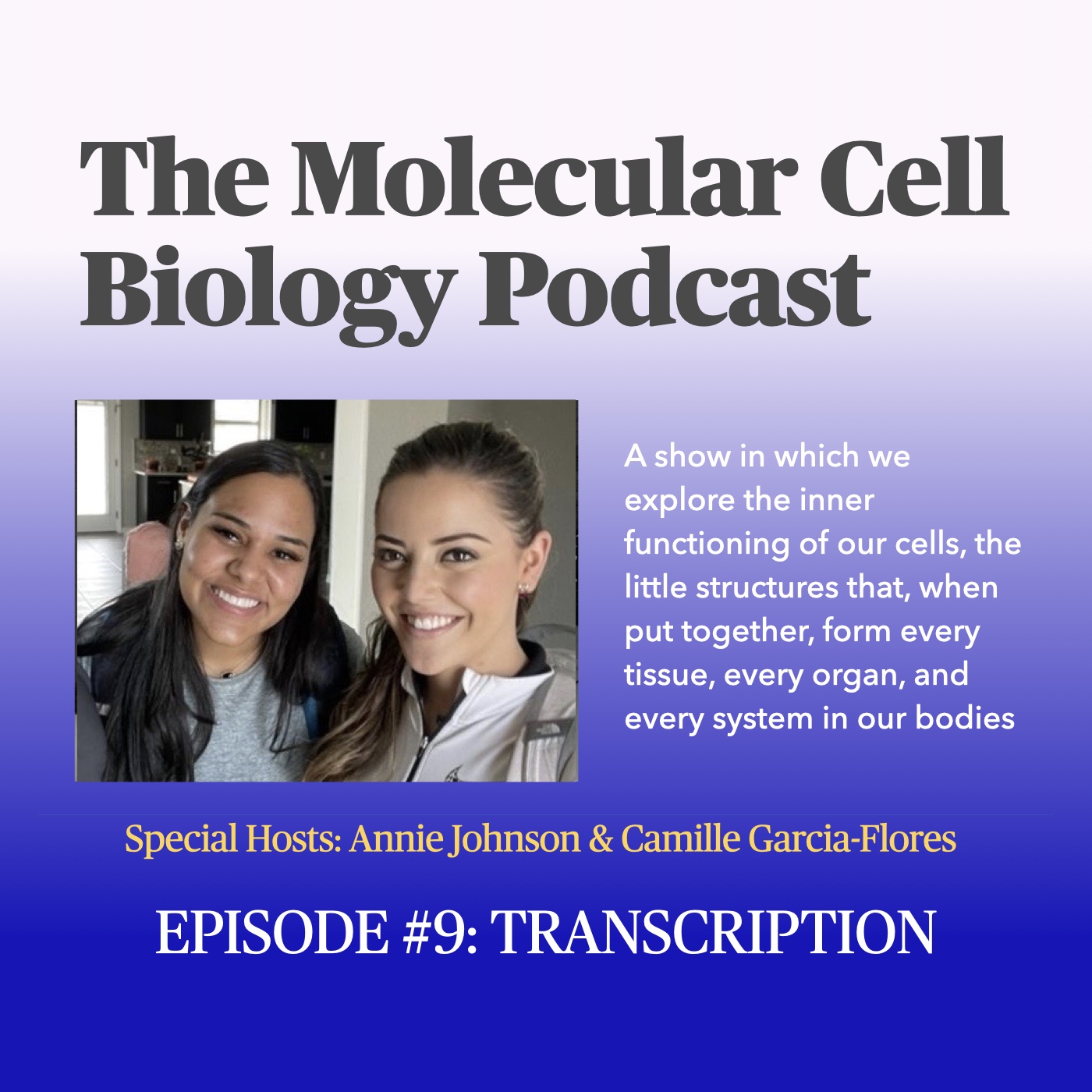 Episode 9: Transcription