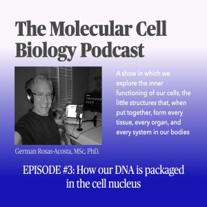 Episode 3: How our DNA is packaged in the cell nucleus