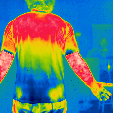 Thermoregulation and Thermal Sensitivity in Humans