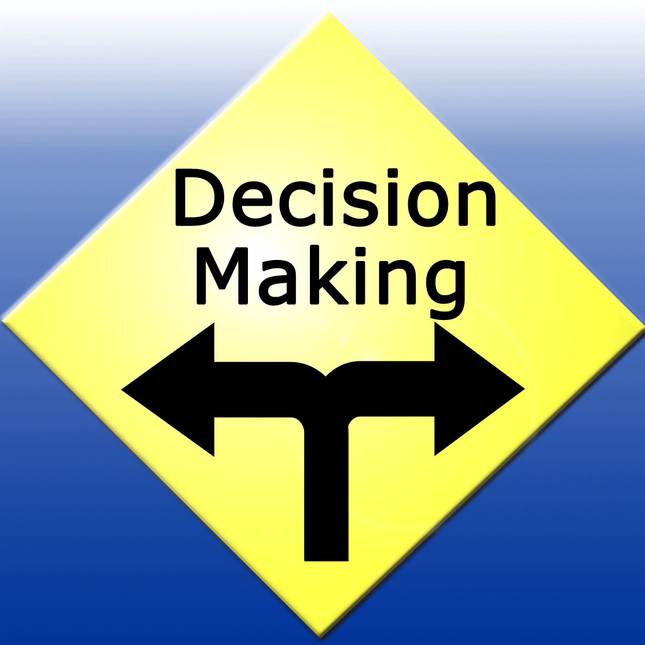 The Neural Mechanisms of Decision Making