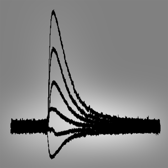 Development of Inhibitory Transmission in Central Circuits