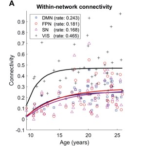 Development of human electrophysiological brain networks