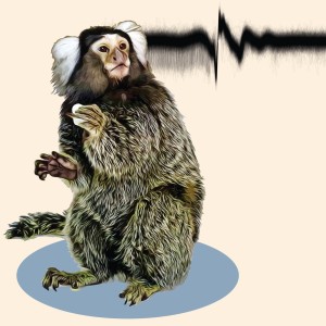 Behavioral training of marmosets and electrophysiological recording from the cerebellum