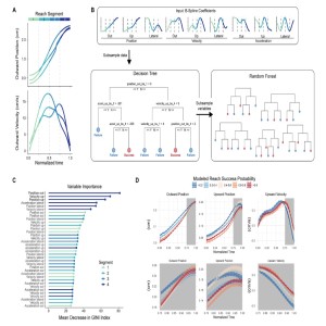 Online control of reach accuracy in mice