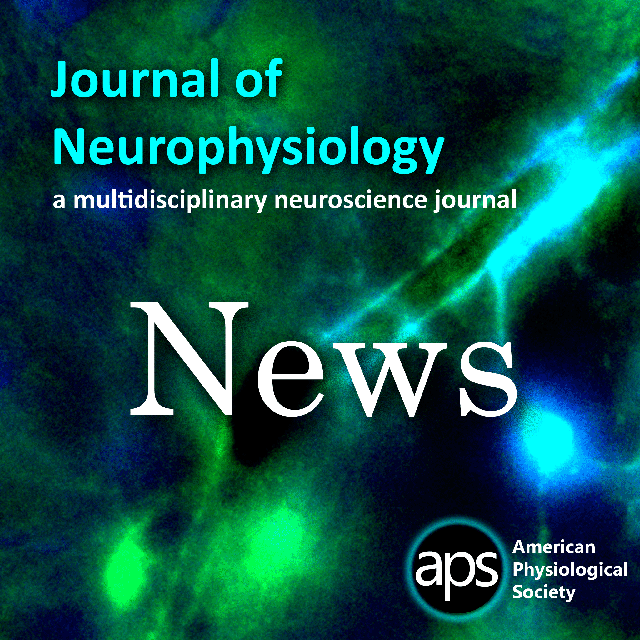 What's New at the Journal of Neurophysiology?