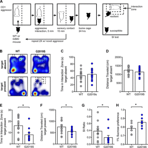 LRRK2 mutation alters behavioral, synaptic, and nonsynaptic adaptations to acute social stress