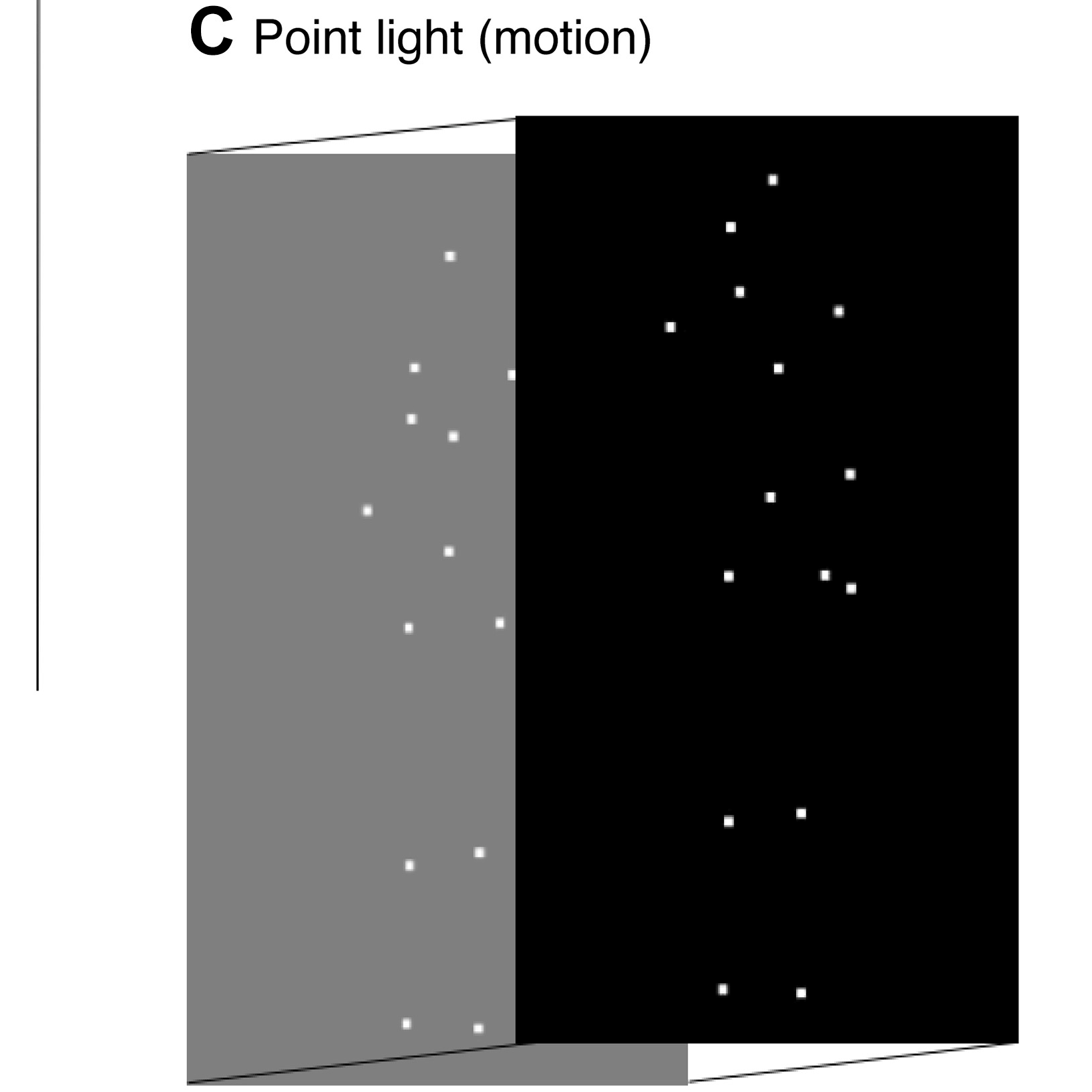 Neural computations for action recognition