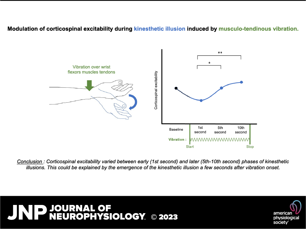 Journal of Neurophysiology