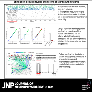 JNP Micro Podcasts ”Four Questions”: Xiaoxuan Ren, Ilhan Bok, Adam Vareberg, and Aviad Hai