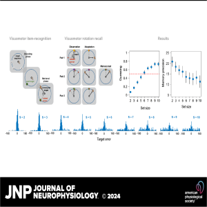 JNP Micro Podcasts: Working memory constraints for visuomotor retrieval strategies