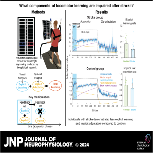 JNP Micro Podcasts: 	Locomotor Learning in Chronic Hemiparetic Stroke