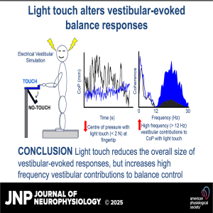 JNP Podcasts: The Power of Light Touch: How Fingertip Contact Modulates Balance and Vestibular Responses