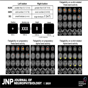 Event-related synchronization/desynchronization and functional neuroanatomical regions associated with fatigue effects on cognitive flexibility