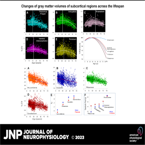 JNP Micro Podcasts: 	Aging and Subcortical Gray Matter Volume
