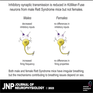 JNP Micro Podcasts: 	Inhibitory Synaptic Transmission in the Kölliker-Fuse of Rett Syndrome mice