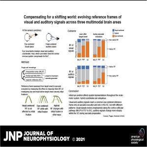 Compensating for a shifting world: evolving reference frames of visual and auditory signals across three multimodal brain areas