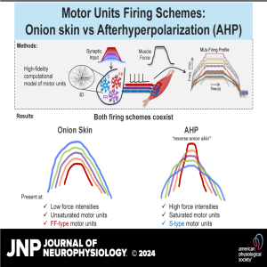 JNP Micro Podcast: Onion Skin or AHP firing scheme?