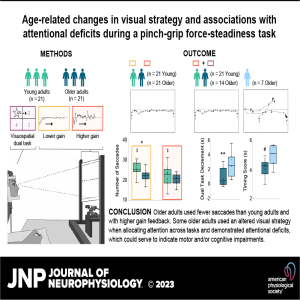 JNP Micro Podcasts: 	Visual Strategy and Force-Steadiness in Older Adults