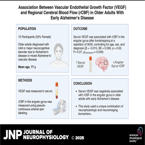 Exploring Angiogenesis and Cerebral Blood Flow in Early Alzheimer’s Disease