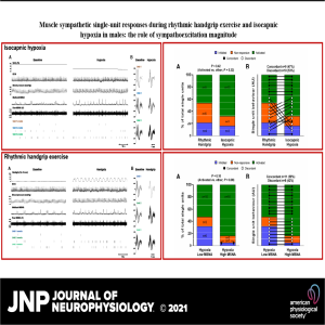 The orchestration of the sympathetic response