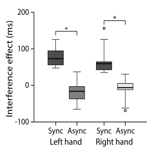 Between-hand coupling during response inhibition