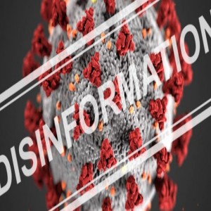 IWS Lesson 4: Societal Capacity Against Disinformation and Subversion