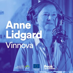 Vinnovas Anne Lidgard - starkt präglad av Stanford och Silicon Valley