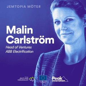 Malin Carlström Head of Ventures ABB Electrification.