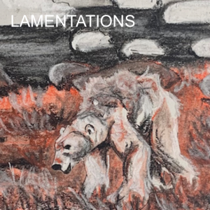 Episode 229-Experiencing Lamentations
