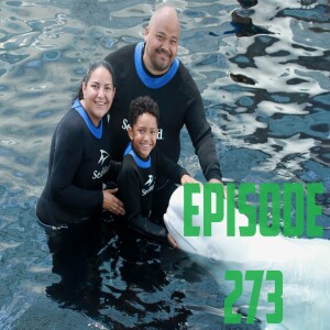 AJ OUM Episode 273 - The California Experience