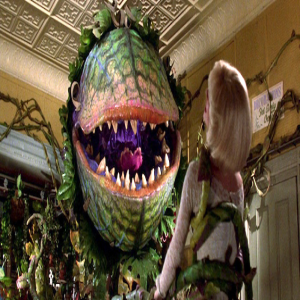 Episode #136-Anonymous Butch & Little Shop of Horrors!!!