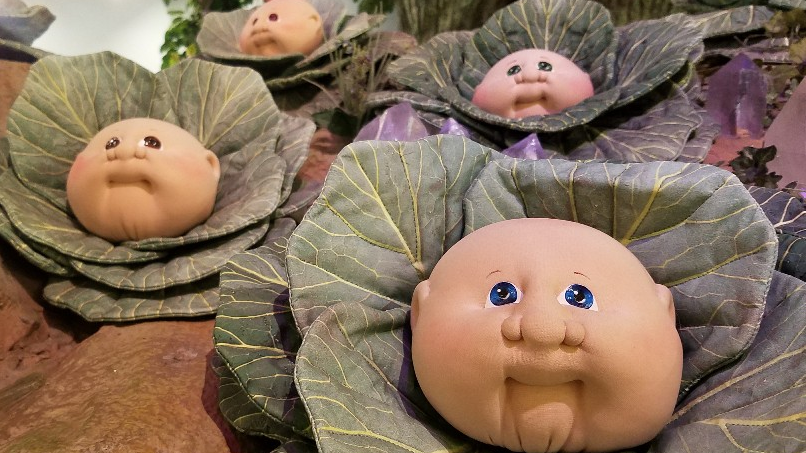 a cabbage patch