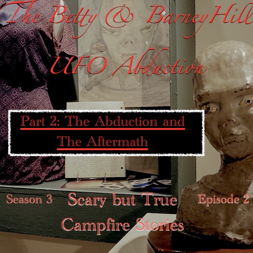 Scary but True Campfire Stories