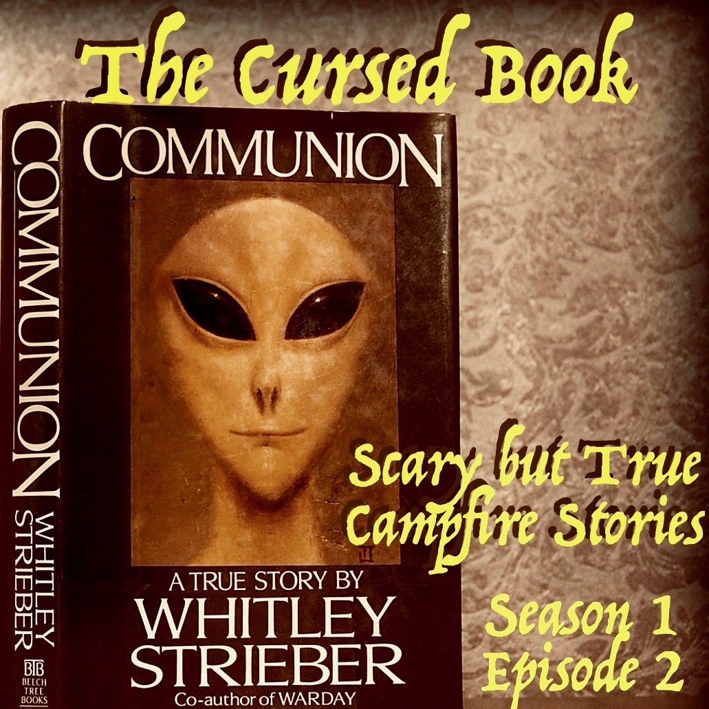 Scary but True Campfire Stories