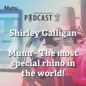 Munu - The most special rhino in the world! Part l with Shirley Galligan