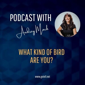 What Kind Of Bird Are You?