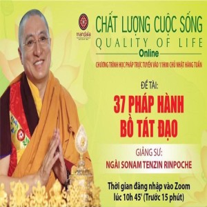 35_Commentary of the 37 Bodhisattva Practices_How to reduce ignorant_Phương pháp đối trị vô minh_Venerable Sonam Rinpoche
