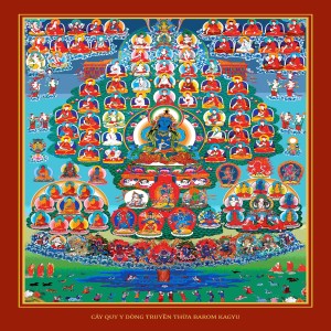 01_01_Introduction of Barom Kagyu Ngondro Practice_Giới Thiệu Pháp Tu Ngondro Dòng Barom Kagyu_Venerable Sonam Tenzin Rinpoche