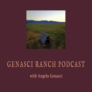 Regenerative Agriculture with Molly Taylor - PT Ranch