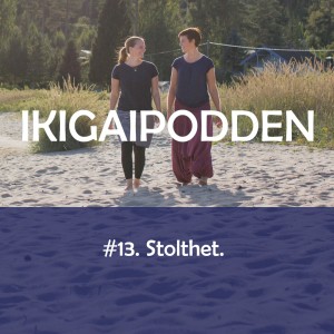 #13. Stolthet