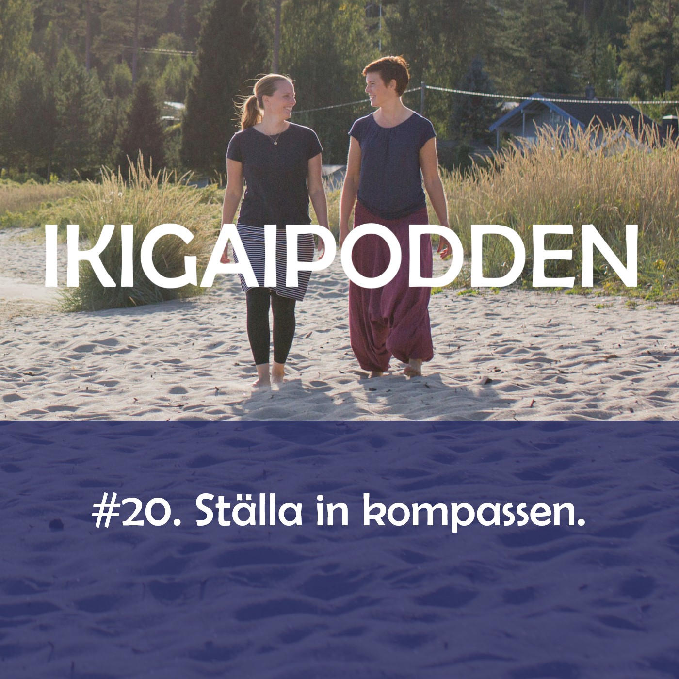 #20. Ställa in kompassen