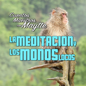 Cuento Maestro la Meditación y los Monos