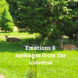 Emotions & Listening to the Universe on Life Clarifications with Natasha