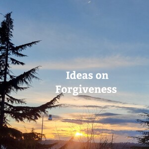 Perspectives on Forgiveness  On Life Clarifications